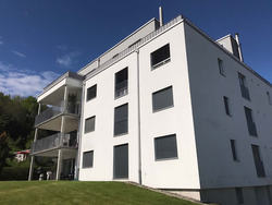 Algenmann Schweiz - Haus in Balterswil TG - Fassadenreinigung mit 5 Jahren Garantie
