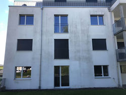 Algenmann Schweiz - Haus in Balterswil TG - Fassadenreinigung mit 5 Jahren Garantie